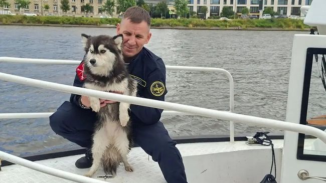 Патруль на воде агентства внешнего транспорта спас собаку Лею из Невы в Санкт-Петербурге