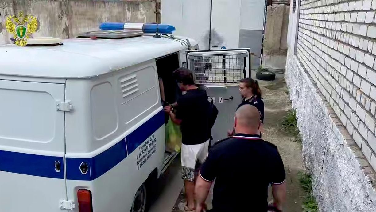 Подозреваемый в наезде на 7-летнюю девочку в Партизанском округе заключен под стражу Подозреваемый в наезде на 7-летнюю девочку в Партизанском округе заключен под стражу - РИА Новости, 1920, 25.07.2026