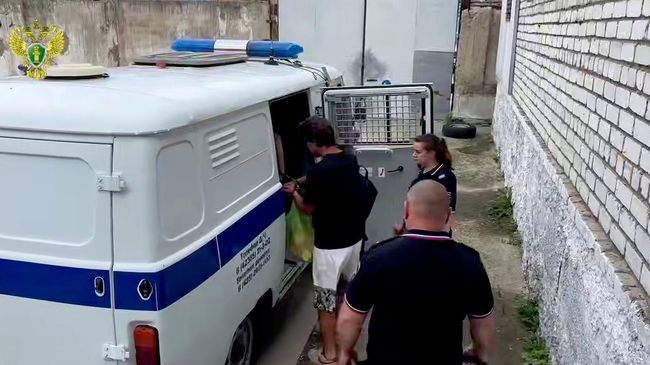 Подозреваемый в наезде на 7-летнюю девочку в Партизанском округе заключен под стражу