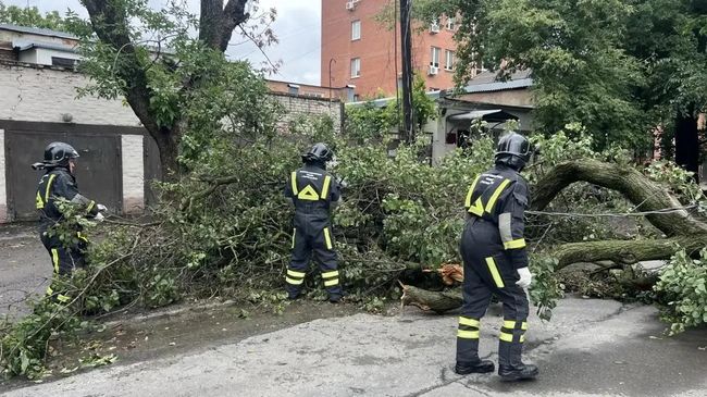 Устранение последствий непогоды в Ростове-на-Дону