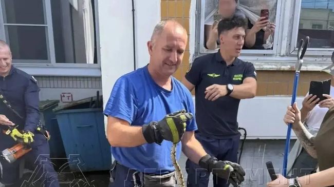 Змея, пойманная на территории детского сада на юго-западе Москвы Змея, пойманная на территории детского сада на юго-западе Москвы