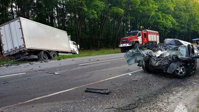 Последствия ДТП с участием легкового автомобиля и грузовика в Тульской области