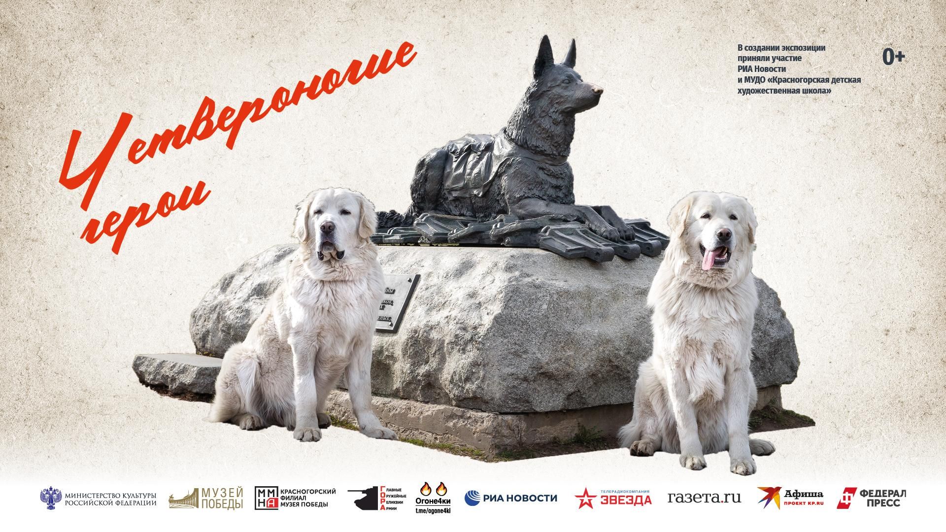 Выставка Четвероногие герои - РИА Новости, 1920, 28.07.2026