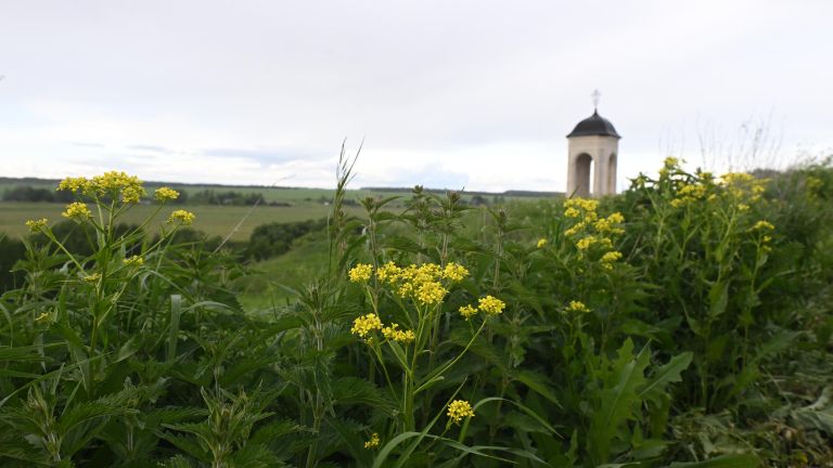 Куликово поле Куликово поле
