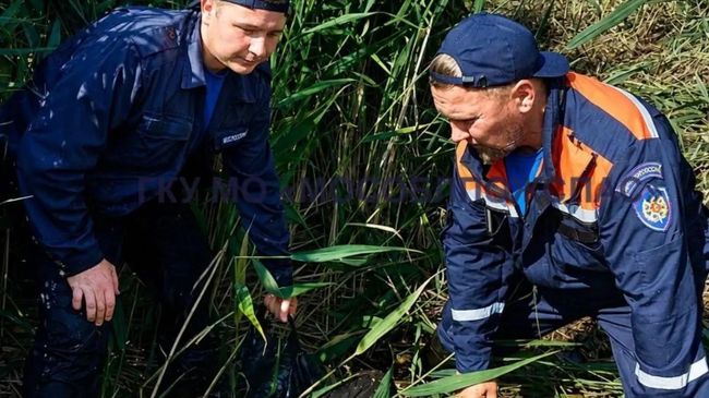Спасатели по время эвакуации пенсионерки из леса в Шатурском округе