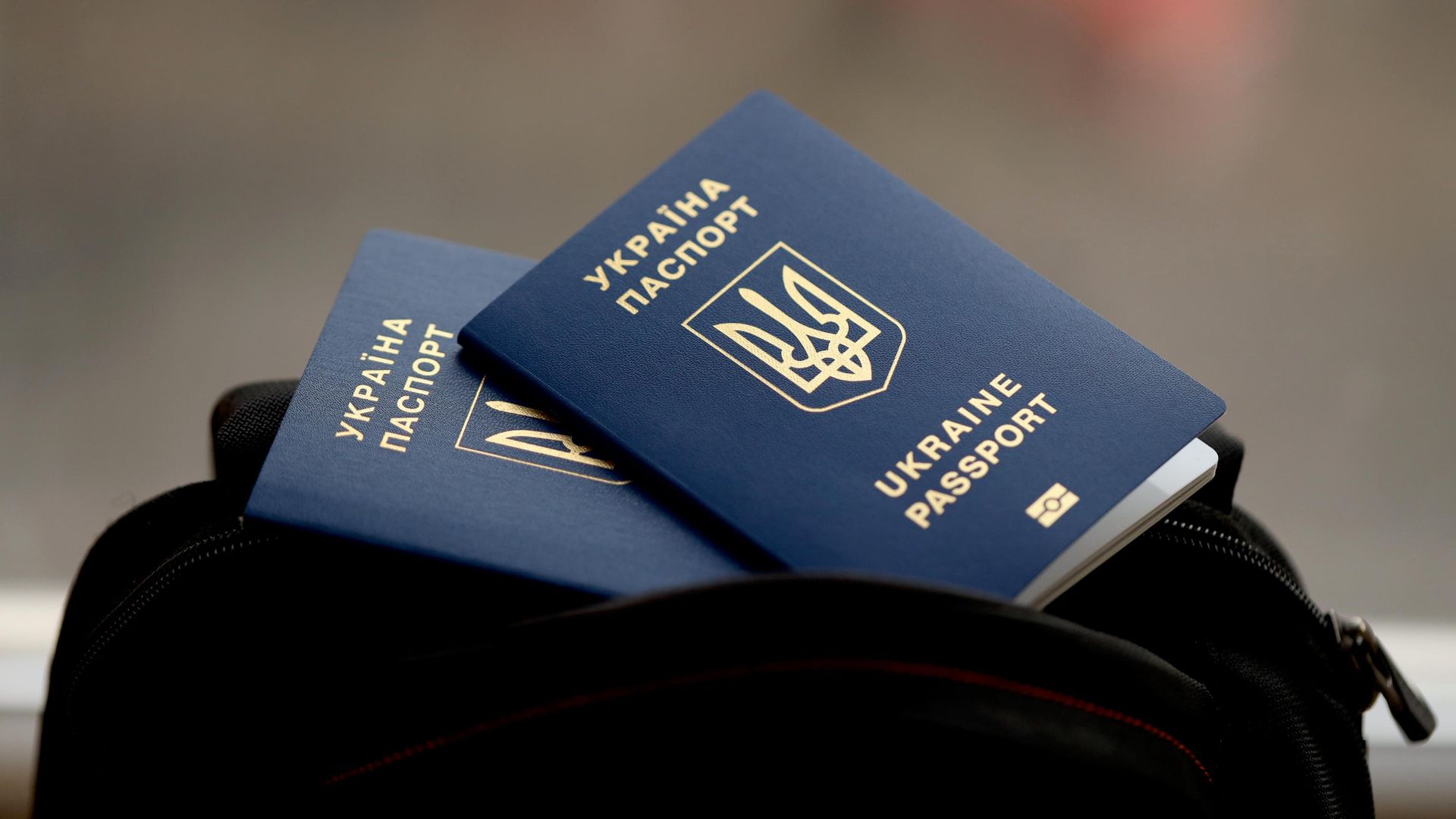 Заграничный паспорт гражданина Украины Заграничный паспорт гражданина Украины - РИА Новости, 1920, 20.08.2026