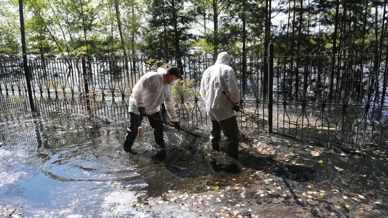 Вылов погибшей рыбы во время паводка в Тюмени Вылов погибшей рыбы во время паводка в Тюмени - РИА Новости, 1920, 09.08.2026
