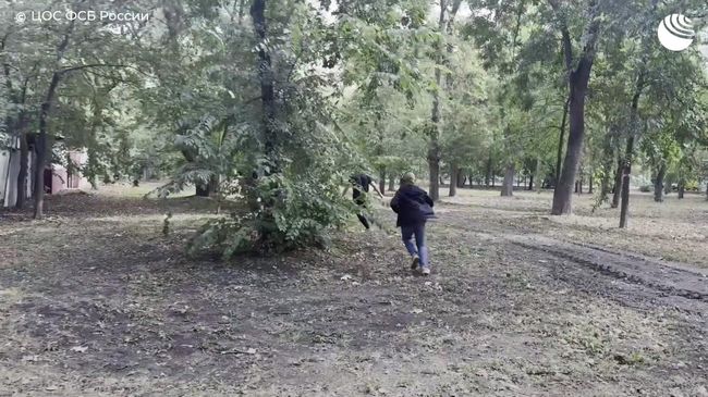 Предотвращение теракта в Краснодарском крае 