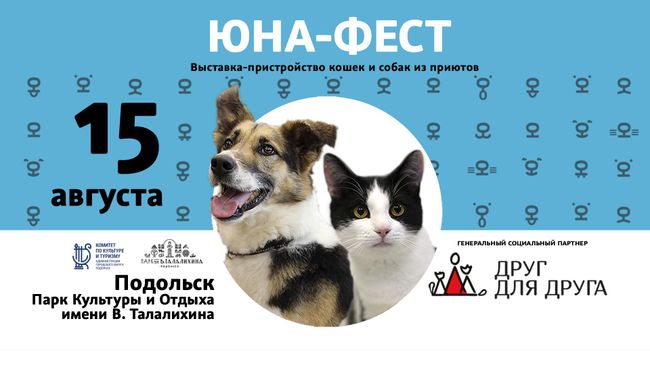 Афиша выставки-пристройства Юна-Фест