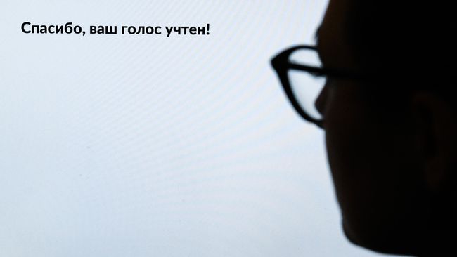  Дистанционное электронное голосование