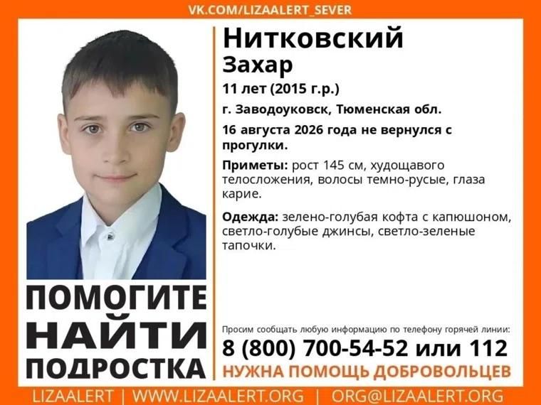 В Заводоуковске пропал мальчик В Заводоуковске пропал мальчик - РИА Новости, 1920, 17.08.2026