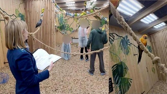 Работа Прокуратуры на месте обнаружения попугаев в морозильной камере в антикафе Работа Прокуратуры на месте обнаружения попугаев в морозильной камере в антикафе - РИА Новости, 1920, 19.08.2026