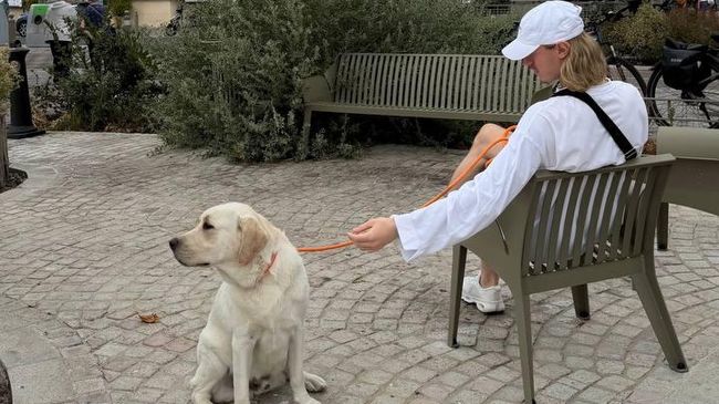 Матвей Сафронов со своей собакой