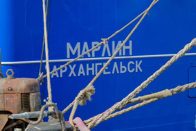 Марлин Марлин