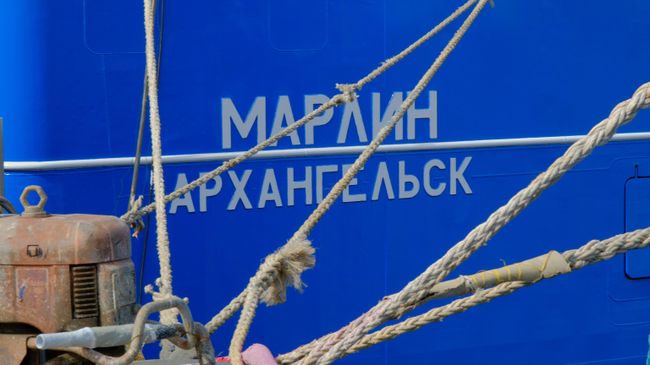 Марлин