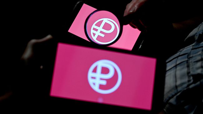 В Совфеде рассказали о новых схемах мошенничества с цифровым рублем
