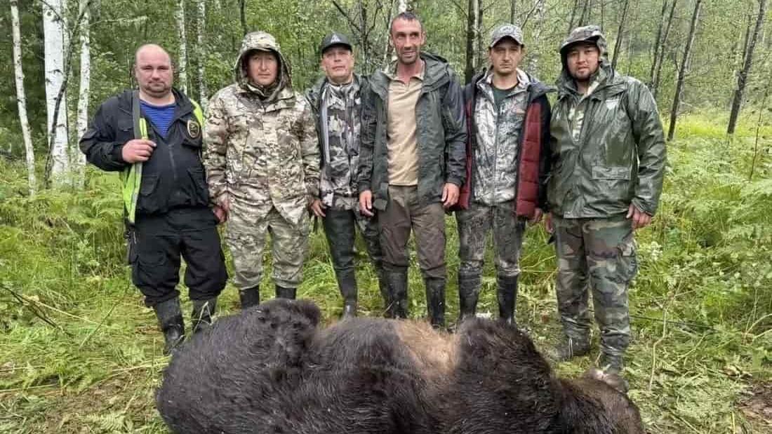 Охотники и охотинспекторы ликвидировали 12 медведей в Республике Алтай Охотники и охотинспекторы ликвидировали 12 медведей в Республике Алтай - РИА Новости, 1920, 21.08.2026