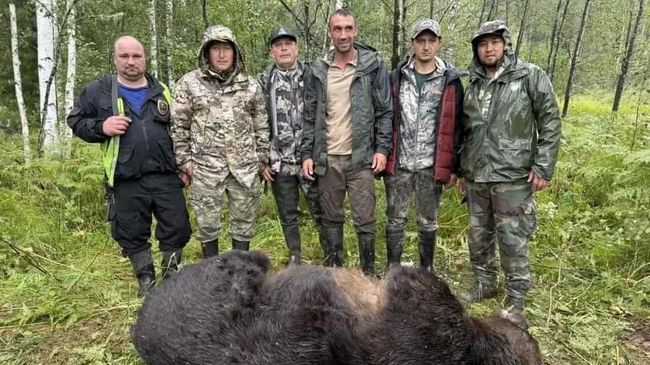 Охотники и охотинспекторы ликвидировали 12 медведей в Республике Алтай