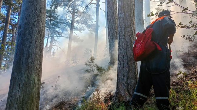 Ликвидация лесного пожара в гораха над Ялтой