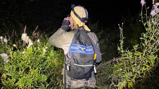 Волонтеры ищут пропавшего мальчика в Тверской области