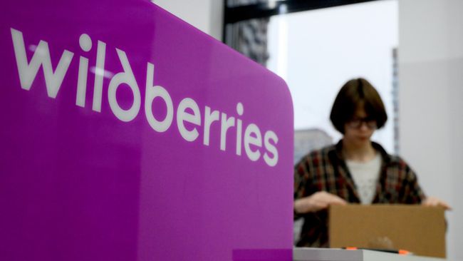 Wildberries подала заявку на регистрацию товарного знака с розовым медведем
