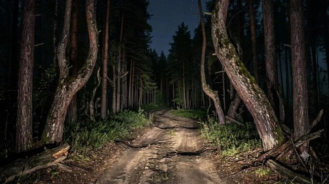Место стрельбы по охотникам в Новосибирской области