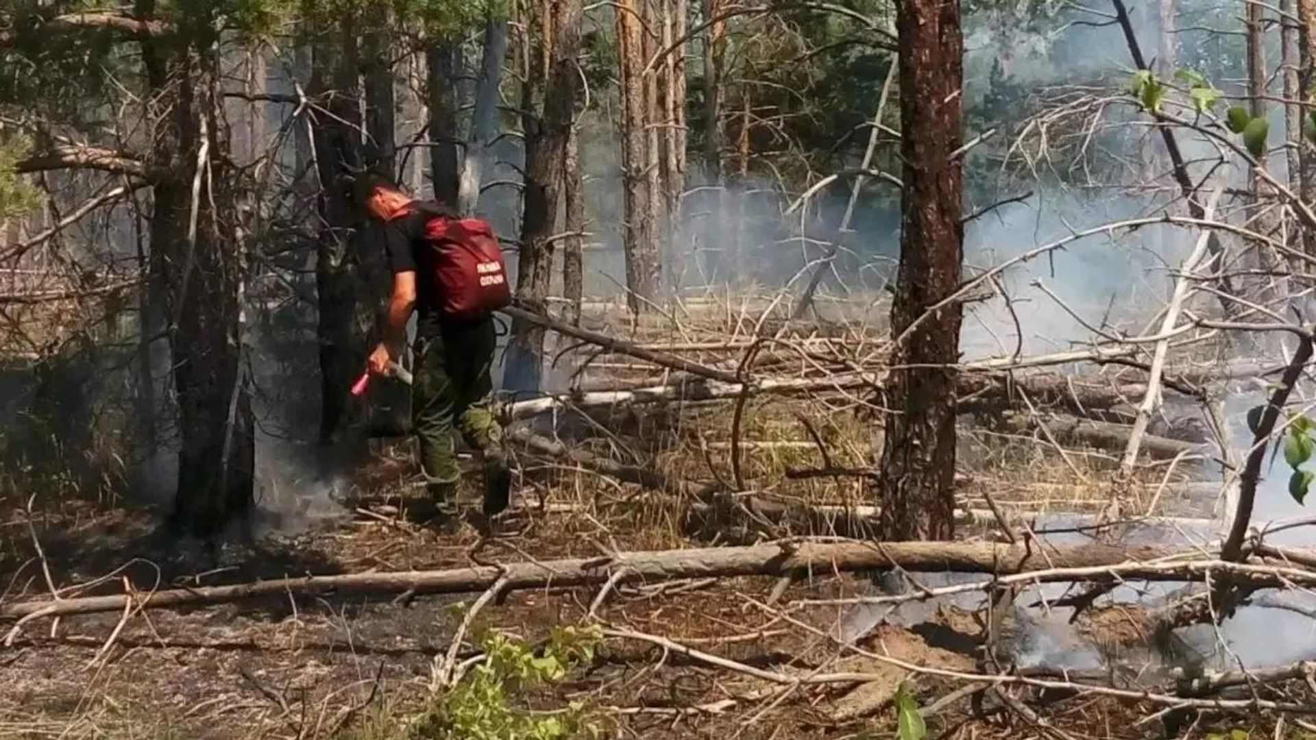 Ликвидация лесного пожара в Цимлянском районе Ростовской области Ликвидация лесного пожара в Цимлянском районе Ростовской области - РИА Новости, 1920, 29.08.2026