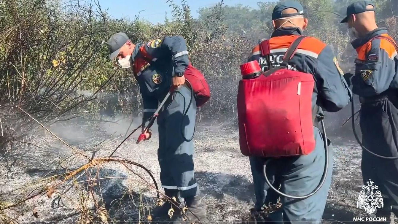 Пожар в районе села Красный Мак Бахчисарайского района Крыма Пожар в районе села Красный Мак Бахчисарайского района Крыма - РИА Новости, 1920, 30.08.2026
