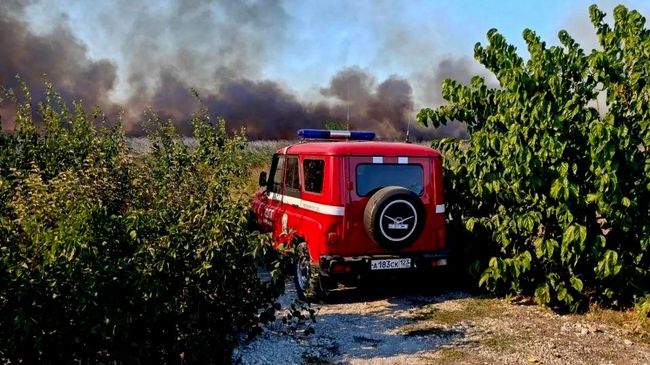 Ликвидация природного пожара в Анапе. 30 августа 2026