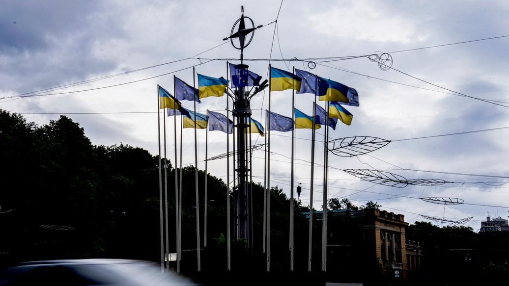 "Мамахохотала": замминистра обороны Украины назначили юмориста