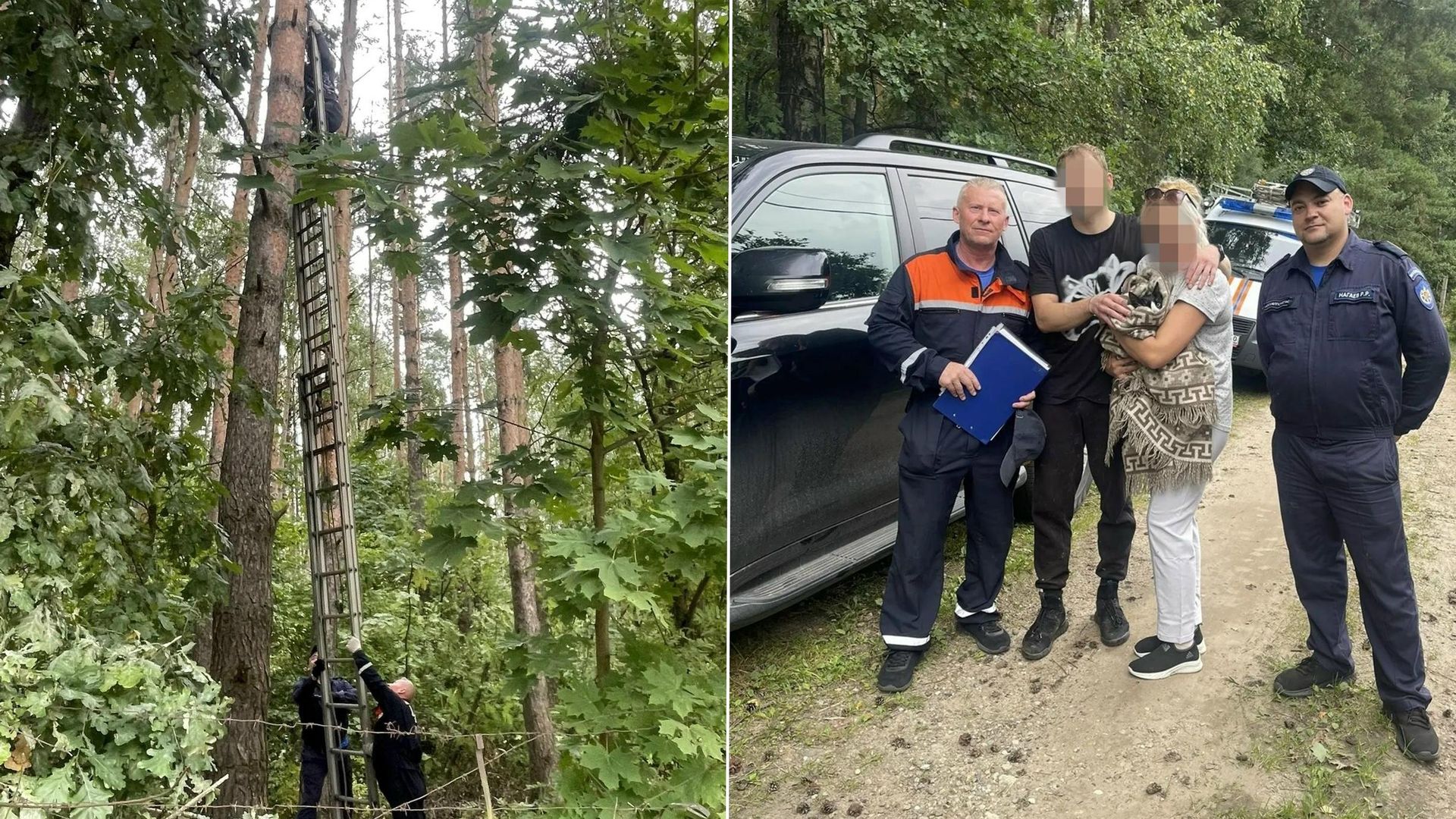 Спасатели ГКУ МО Мособлпожспас помогают мужчине слезть с сосны Спасатели ГКУ МО Мособлпожспас помогают мужчине слезть с сосны - РИА Новости, 1920, 31.08.2026