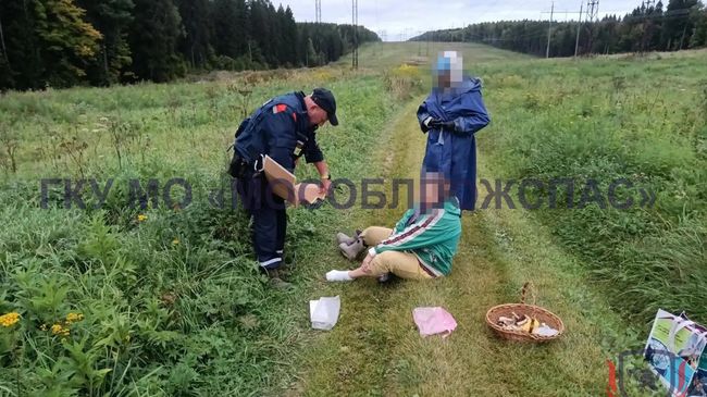 Оказание помощи женщине, которую укусила змея в Подмосковье
