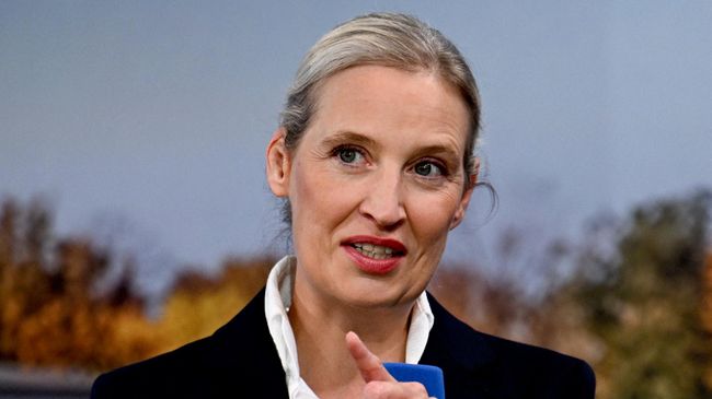 Сопредседатель партии Альтернатива для Германии Алиса Вайдель