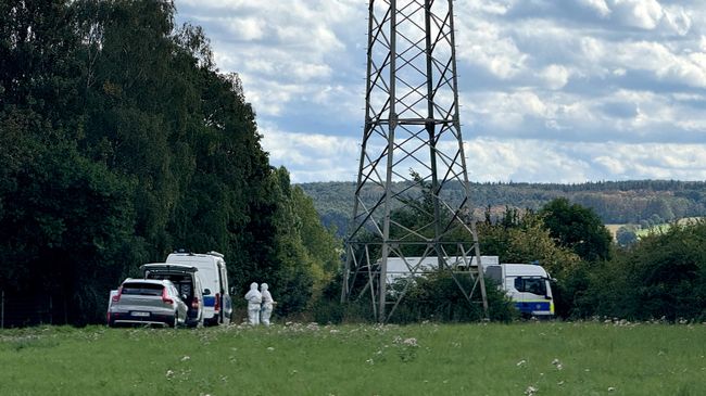 Задержание жителя Германии, подозреваемого в организации серии атак на объекты энергетической инфраструктуры. 8 сентября 2026