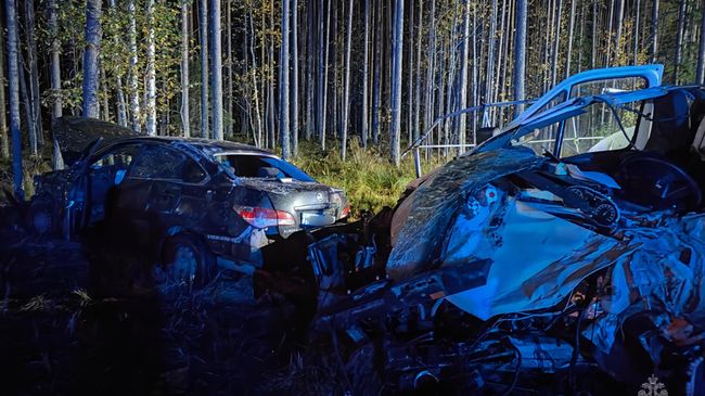 ДТП на трассе М-8 с участием лесовоза, микроавтобуса и легкового автомобиля в Архангельской области