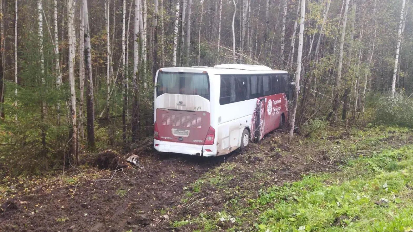 ДТП с участием рейсового автобуса и легкового автомобиля на трассе в Пермском крае - РИА Новости, 1920, 12.09.2026