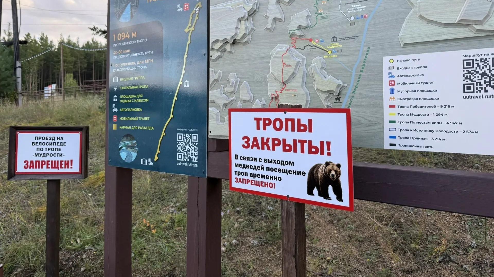 Туристические тропы из-за ситуации с медведями закрыли в Улан-Удэ - РИА Новости, 1920, 13.10.2026
