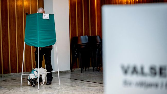 Мужчина с собакой голосует на парламентских выборах на избирательном участке в Мальмё, Швеция. 13 сентября 2026