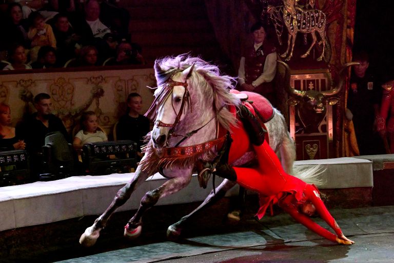 Золотым призером смотра стал конно-акробатический номер Джигиты-амазонки Номад (Казахстан) под руководством Канатбека Кунгожинова — за невероятную экспрессию, скорость и трюковую сложность. 