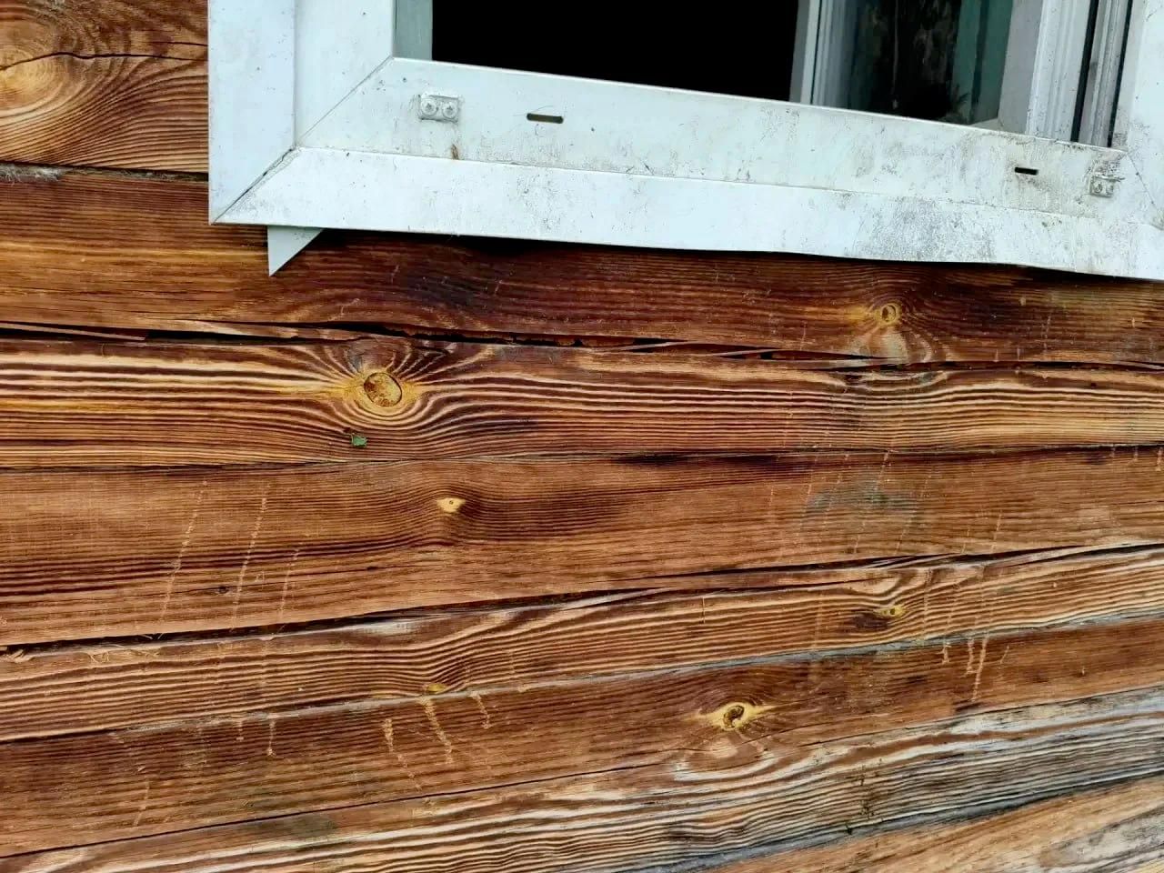 Нападение медведя во дворе частного дома в селе Верхний Кабеж на юге Красноярского края Нападение медведя во дворе частного дома в селе Верхний Кабеж на юге Красноярского края - РИА Новости, 1920, 16.09.2026