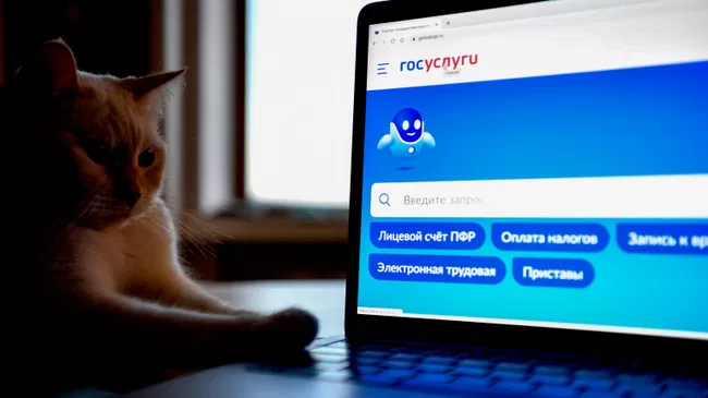 Справочно-информационный интернет-портал Госуслуги
