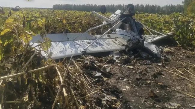 Место падения самолета сельхозавиации в Ульяновской области