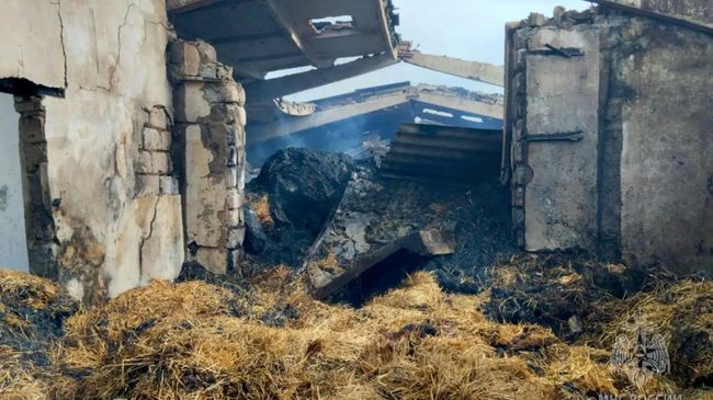 Последствия пожара на складе в Тамалинском районе Пензенской области. 23 сентября 2026