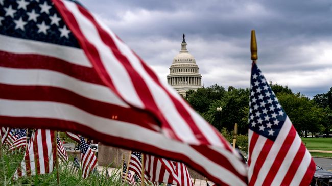 Флаги США на фоне Капитолия Флаги США на фоне Капитолия