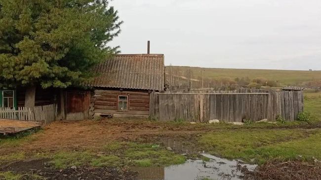 Место нападения медведя на женщину в селе Вознесенка 