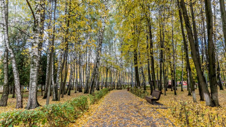 Городской парк в Королеве