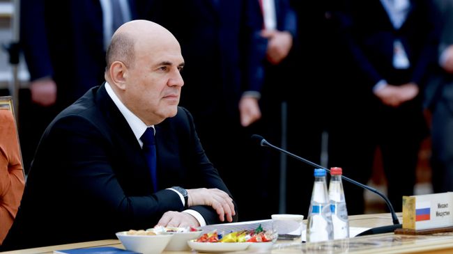 Мишустин оценил перспективы сотрудничества стран ЕАЭС и Африки