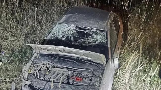 На месте происшествия, где автомобиль врезался в медведя на трассе в Кировской области