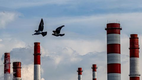 Голуби на фоне труб ТЭЦ-20 в Москве