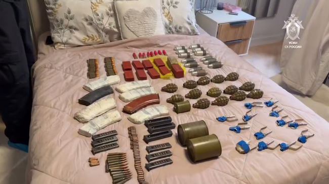 Боеприпасы, обнаруженные у подозреваемого в убийстве сожительницы и ее дочери в Москве. Кадр видео